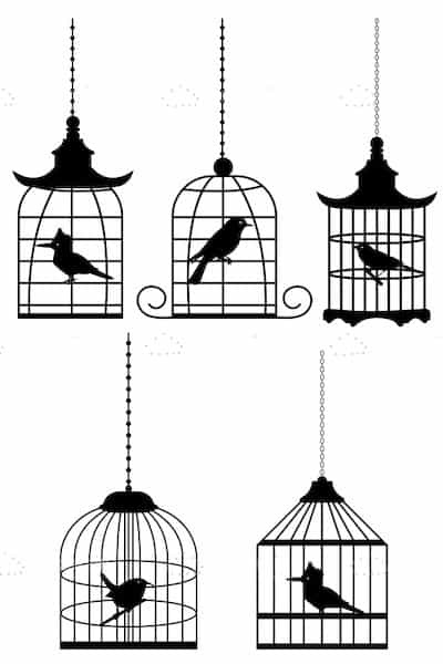 5 Silhouette Birds in Cages